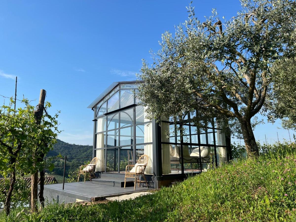 Agriturismo Il Conte Vassallo Miane Luaran gambar