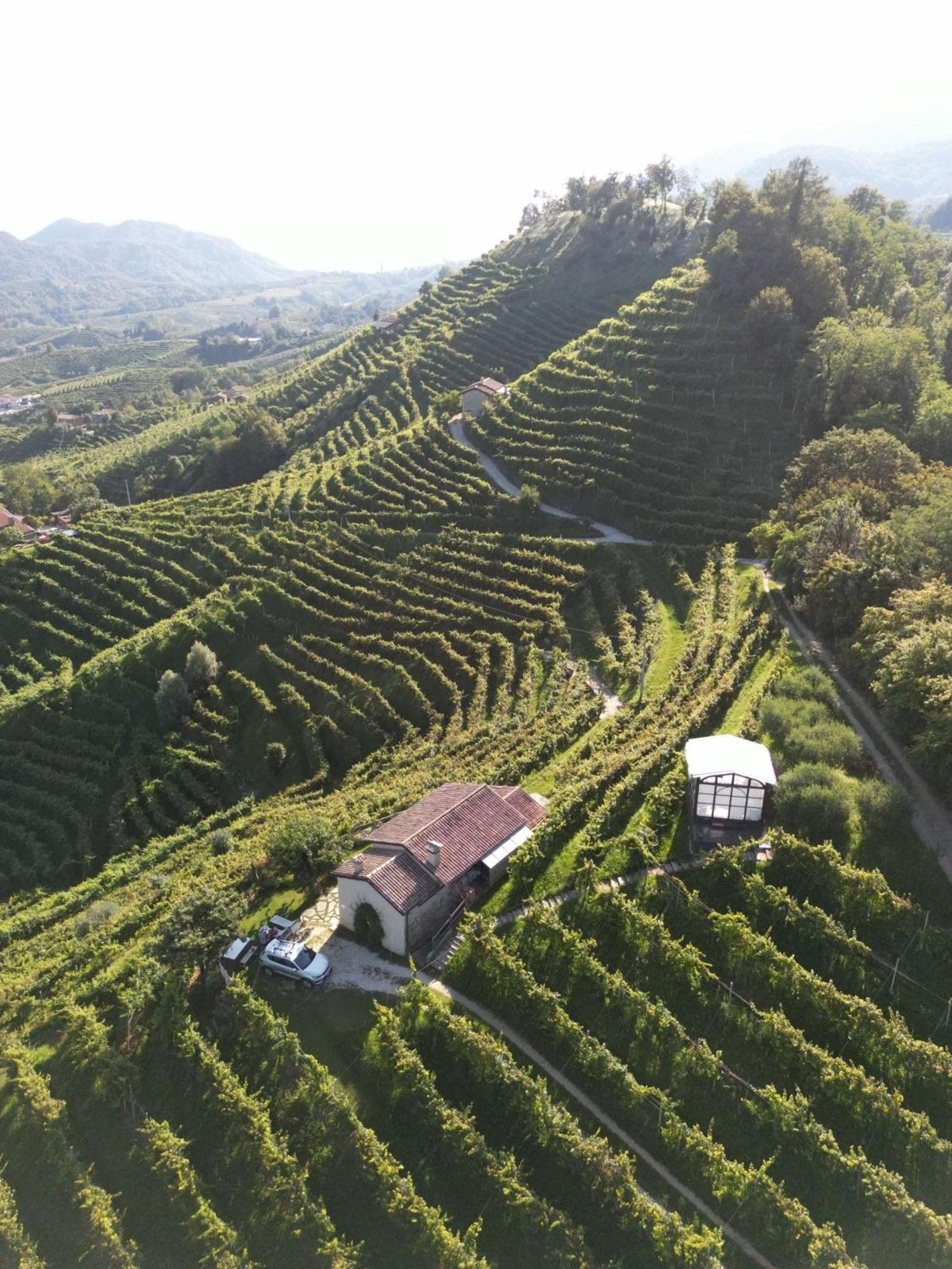 Agriturismo Il Conte Vassallo Miane Luaran gambar